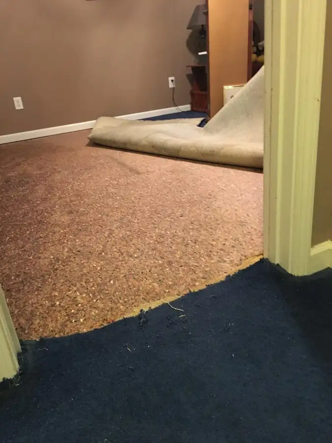 Carpet pad removal revealing water damage during Drying & Dehumidification in Bel Air